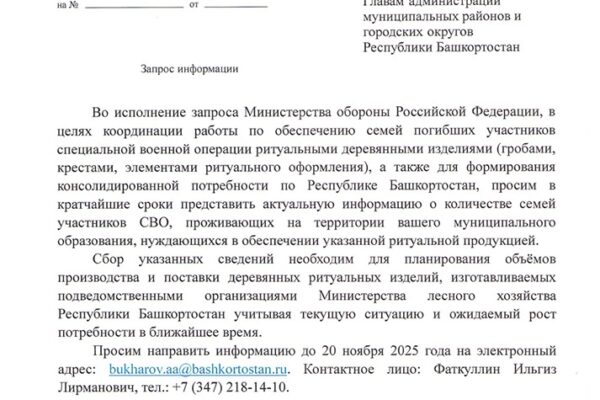«Лесные гробы: Башкирия ждёт новых потерь»
