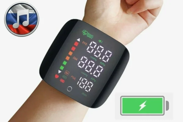 В Абхазии по просьбе России планируют ввести электронные браслеты для части населения